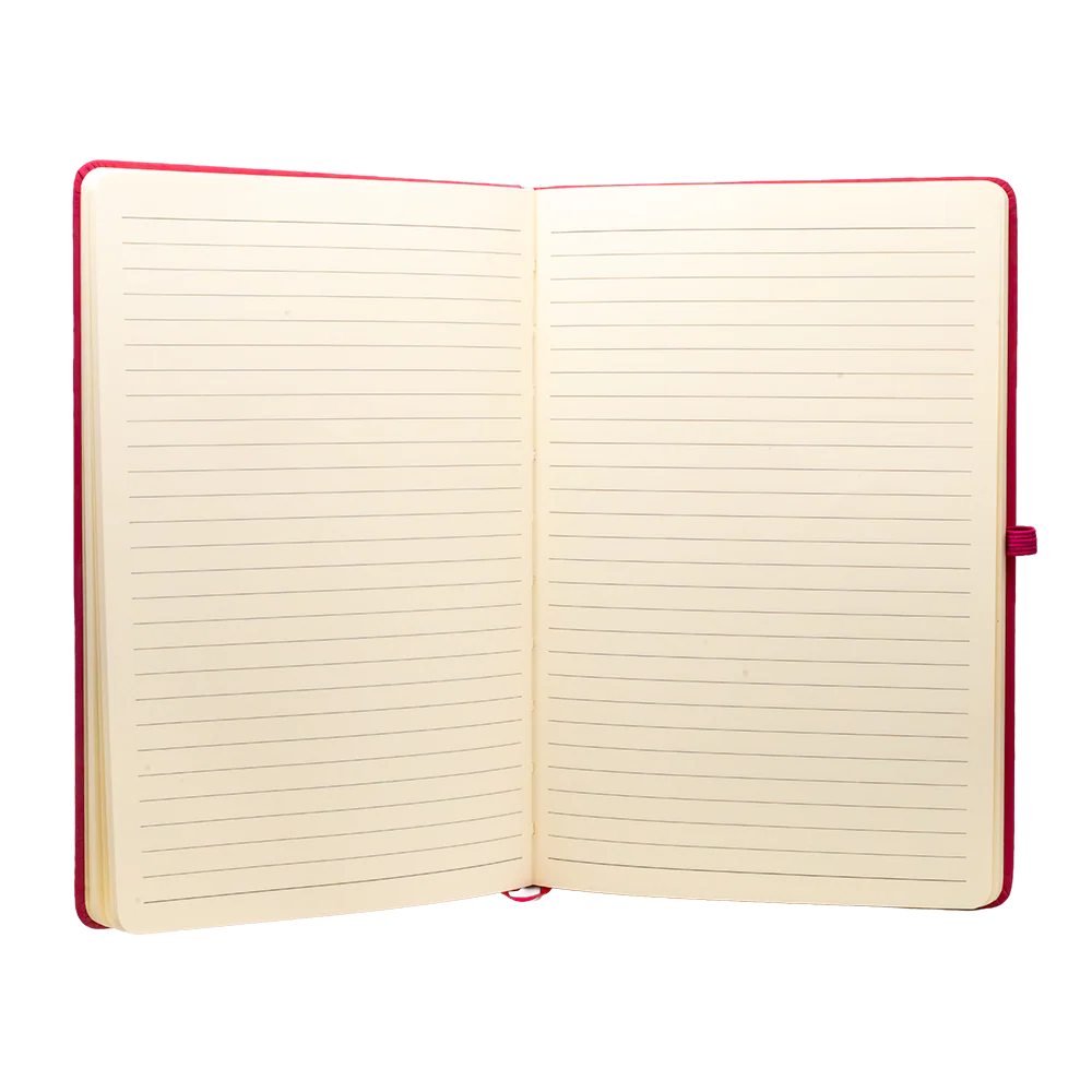 Eurovision Notebook - Image 3